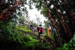 BIB: 
                            <button type="button" onclick="openModal(26202549)" class="btn btn-primary btn-sm float-right btn-popup" data-toggle="modal" data-target=".modal-high-quality">
                        <i class="fas fa-shopping-cart"></i> Add to Cart
                    </button>
                                            <button type="button" onclick="isThisMe(26202549, true)" class="btn btn-success btn-sm float-right btn-popup btn-isme hidden" data-toggle="tooltip" data-placement="bottom" title="นี่คือรูปของคุณใช่ไหม คลิกที่นี่เพื่อเอาเข้าอัลบั้ม">
                        <i class="fas fa-plus"></i> Add to album
                    </button>
                    <button type="button" onclick="isThisMe(26202549, false)" class="btn btn-warning btn-sm float-right btn-popup btn-isnotme hidden">
                        <i class="fas fa-ban"></i> Remove from album
                    </button>